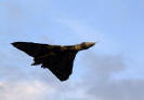 the unique vulcan aircraft