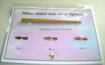 Italic 3 Pen Nib and Holder set (left hand).